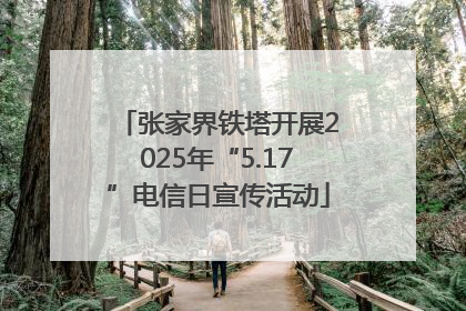 张家界铁塔开展2025年“5.17”电信日宣传活动