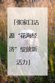 张家口沽源“花海经济”绽放新活力