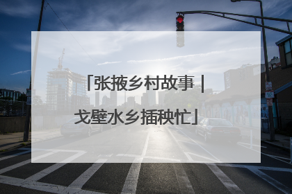 张掖乡村故事｜戈壁水乡插秧忙