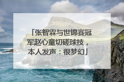 张智霖与世锦赛冠军赵心童切磋球技，本人发声：很梦幻