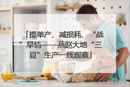 提单产、减损耗、“战”旱情——燕赵大地“三夏”生产一线观察