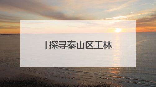 探寻泰山区王林坡村当“红”不让的“网红密码”