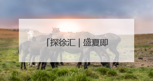 探徐汇 | 盛夏即将来袭，多来徐汇吃喝玩乐逛“新店”