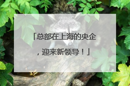 总部在上海的央企，迎来新领导！