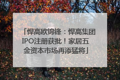悍高欧锦锋：悍高集团IPO注册获批！家居五金资本市场再添猛将
