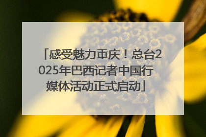 感受魅力重庆！总台2025年巴西记者中国行媒体活动正式启动