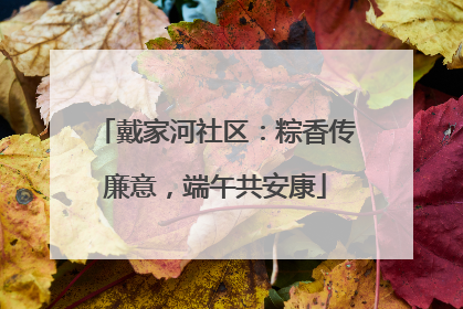 戴家河社区：粽香传廉意，端午共安康