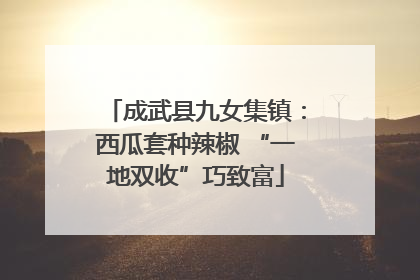 成武县九女集镇：西瓜套种辣椒 “一地双收”巧致富
