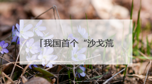 我国首个“沙戈荒”新能源外送基地首批机组投产发电
