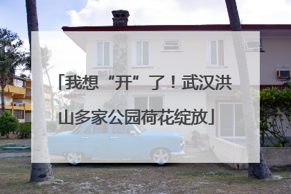 我想“开”了！武汉洪山多家公园荷花绽放