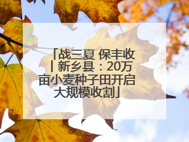 战三夏 保丰收丨新乡县：20万亩小麦种子田开启大规模收割