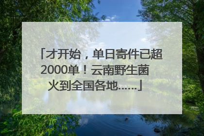 才开始，单日寄件已超2000单！云南野生菌火到全国各地……
