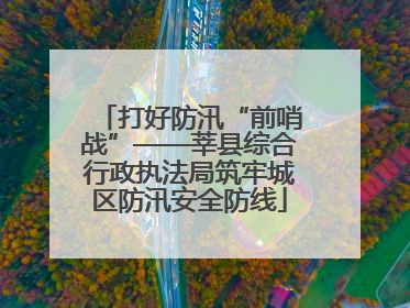 打好防汛“前哨战”——莘县综合行政执法局筑牢城区防汛安全防线