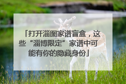 打开淄图家谱盲盒，这些“淄博限定”家谱中可能有你的隐藏身份