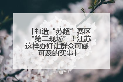 打造“苏超”赛区“第二现场”！江苏这样办好让群众可感可及的实事
