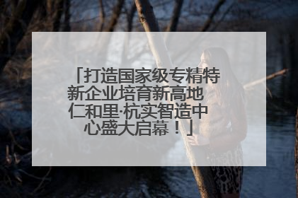 打造国家级专精特新企业培育新高地 仁和里·杭实智造中心盛大启幕！