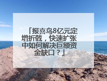 报喜鸟8亿元定增折戟，快速扩张中如何解决巨额资金缺口？