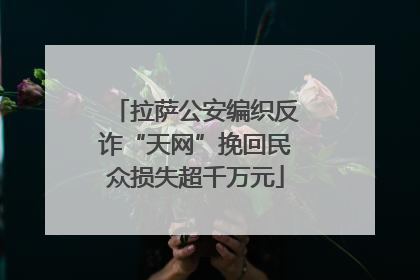 拉萨公安编织反诈“天网”挽回民众损失超千万元