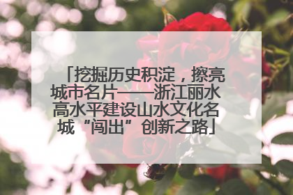 挖掘历史积淀，擦亮城市名片——浙江丽水高水平建设山水文化名城“闯出”创新之路