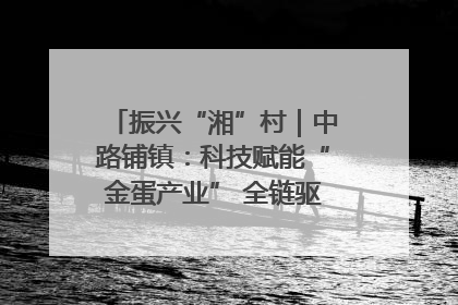 振兴“湘”村｜中路铺镇：科技赋能“金蛋产业” 全链驱动乡村振兴