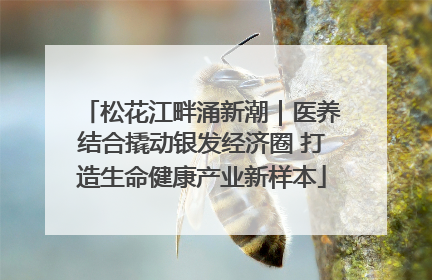 松花江畔涌新潮｜医养结合撬动银发经济圈 打造生命健康产业新样本
