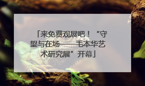 来免费观展吧！“守望与在场——毛本华艺术研究展”开幕