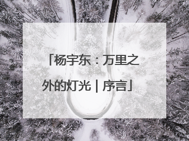 杨宇东：万里之外的灯光｜序言