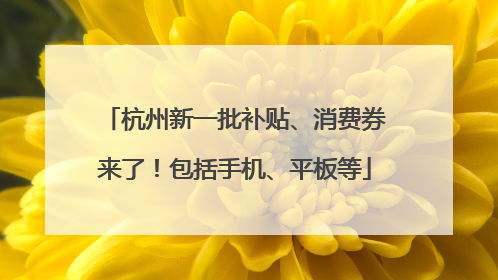 杭州新一批补贴、消费券来了！包括手机、平板等