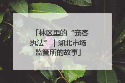 林区里的“宠客执法”｜湖北市场监管所的故事
