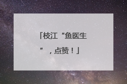 枝江“鱼医生”，点赞！