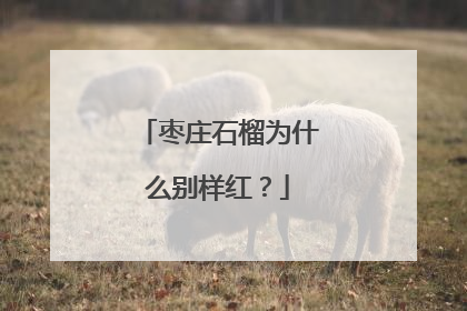 枣庄石榴为什么别样红？