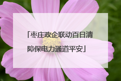 枣庄政企联动百日清障保电力通道平安