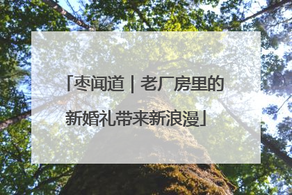 枣闻道｜老厂房里的新婚礼带来新浪漫