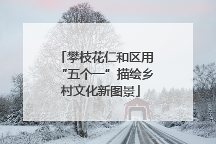 攀枝花仁和区用“五个一”描绘乡村文化新图景