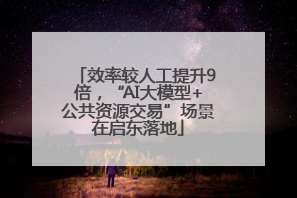 效率较人工提升9倍，“AI大模型+公共资源交易”场景在启东落地