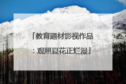 教育题材影视作品：观照夏花正烂漫