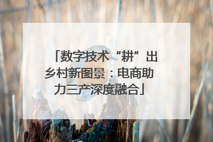 数字技术“耕”出乡村新图景：电商助力三产深度融合