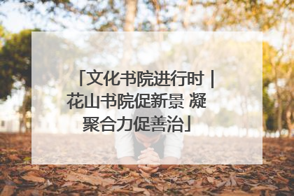 文化书院进行时｜花山书院促新景 凝聚合力促善治