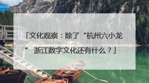 文化观察：除了“杭州六小龙” 浙江数字文化还有什么？