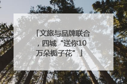 文旅与品牌联合，四城“送你10万朵栀子花”