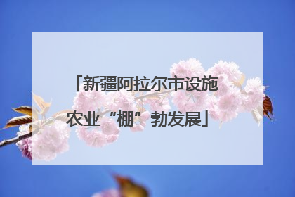 新疆阿拉尔市设施农业“棚”勃发展