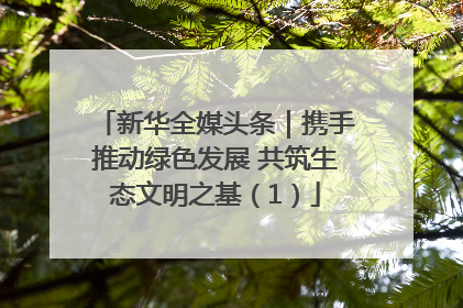新华全媒头条｜携手推动绿色发展 共筑生态文明之基（1）