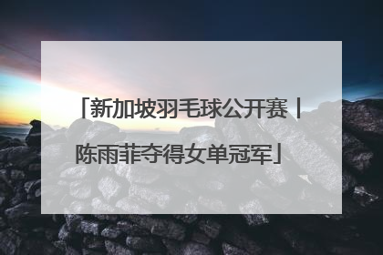 新加坡羽毛球公开赛丨陈雨菲夺得女单冠军