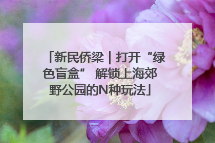 新民侨梁｜打开“绿色盲盒” 解锁上海郊野公园的N种玩法
