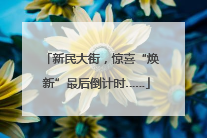 新民大街，惊喜“焕新”最后倒计时……