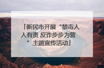 新民市开展“禁毒人人有责 反诈步步为营”主题宣传活动