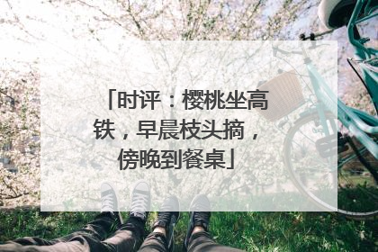 时评：樱桃坐高铁，早晨枝头摘，傍晚到餐桌