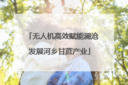 无人机高效赋能澜沧发展河乡甘蔗产业