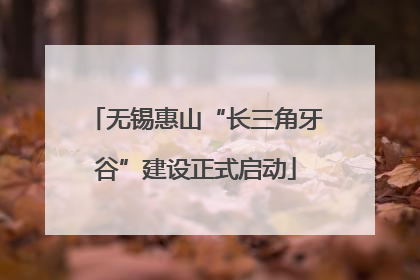 无锡惠山“长三角牙谷”建设正式启动