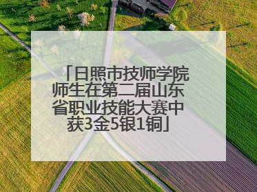 日照市技师学院师生在第二届山东省职业技能大赛中获3金5银1铜